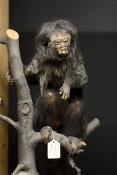 natuurmuseum brabant tilburg 1-2023 6173